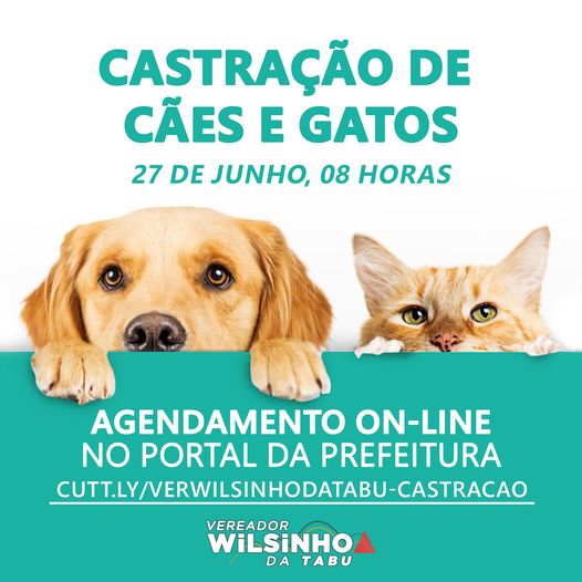 Castração de Câes e Gatos