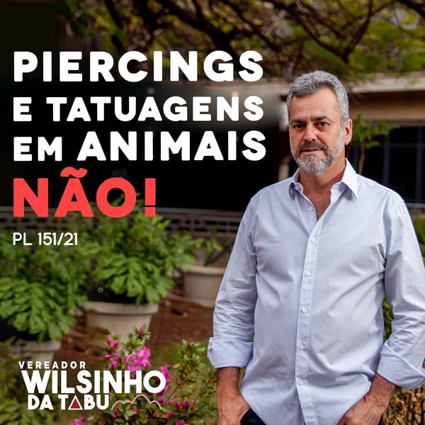 Piercings e tatuagens em animais, não!