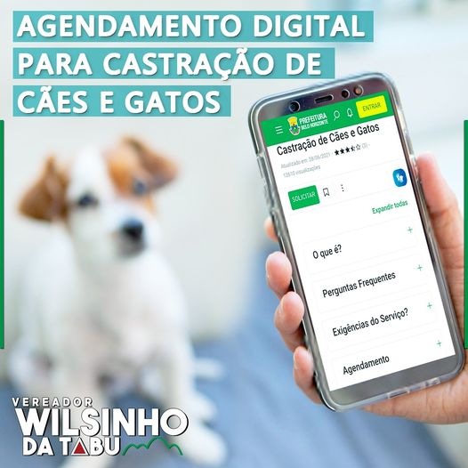 Prefeitura implanta agendamento on-line para cirurgia de castração animal