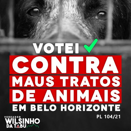 Votei contra os maus tratos de animais em BH