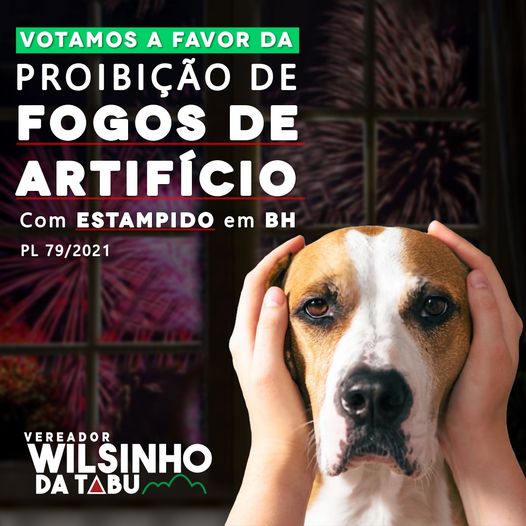 Votei sim! Pela proibição da soltura de fogos de artifício com estampidos