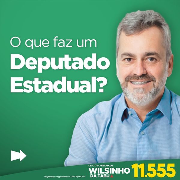 O que faz um Deputado Estadual